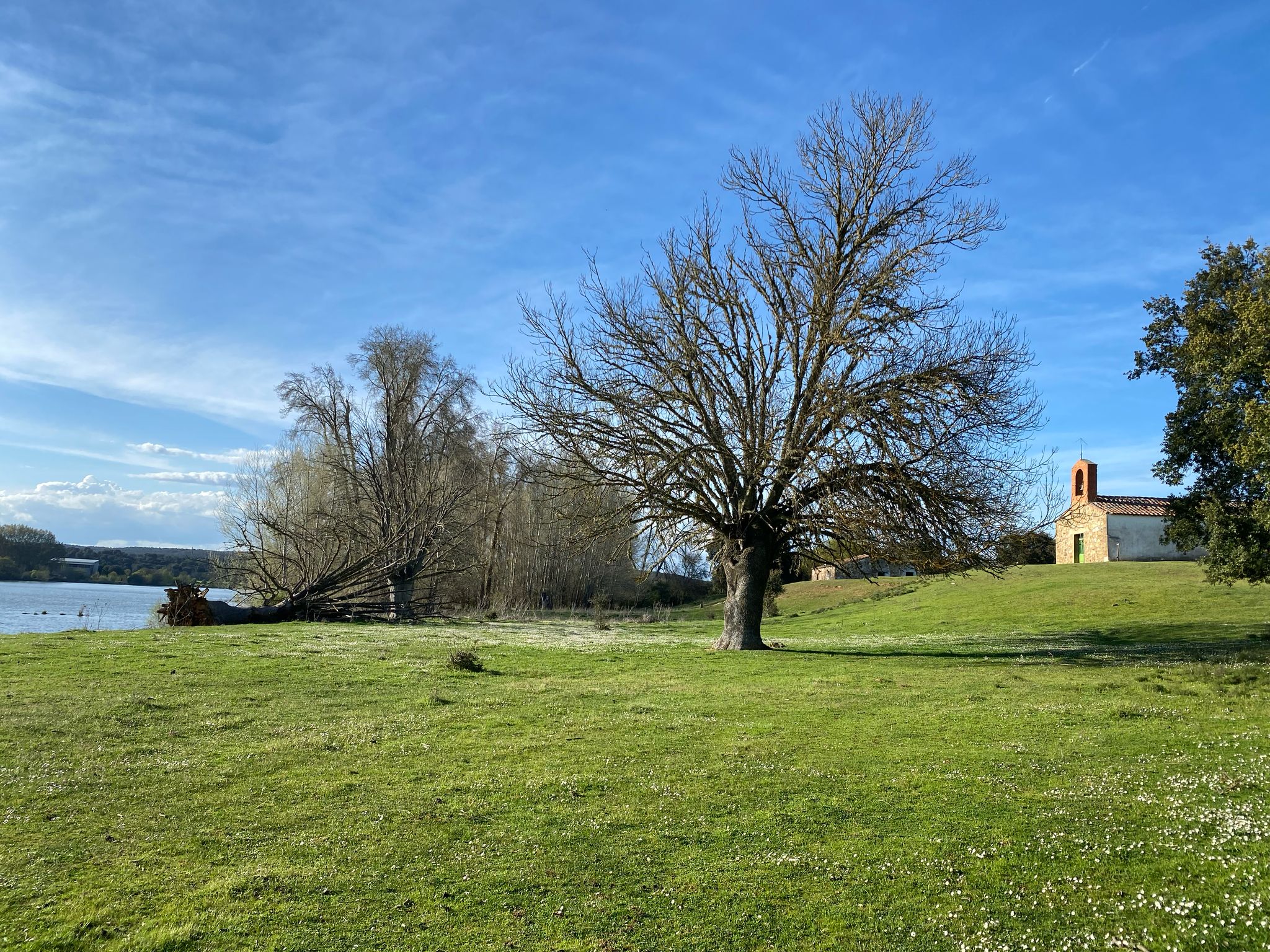 IMG 20250502 WA0011