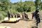 Rafting en el río Esla